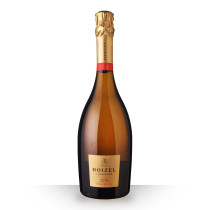 Champagne Boizel Grand Vintage 2015 75cl dev.odyssee-vins.com