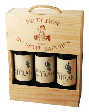 Caisse Bois à Corde Trio de Citran dev.odyssee-vins.com