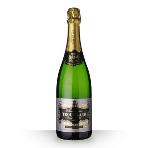 Champagne Trouillard Extra Sélection Brut 75cl dev.odyssee-vins.com